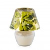 Luminare  BALIS
