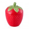 Container FRAGIS