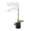 Compozitie de flori ORCHIPICK
