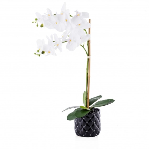 Compozitie de flori ORCHIPICK