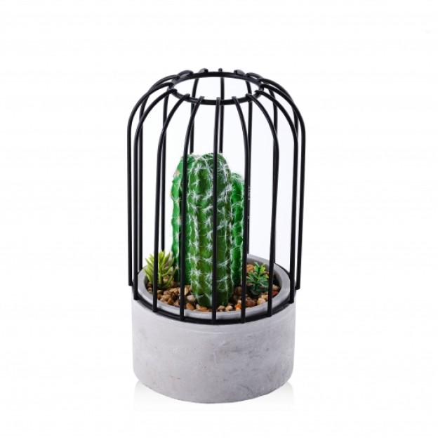Compozitie de flori CACTO