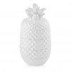 Container PEARLANAS