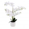 compozitie florala ORCHIPICK
