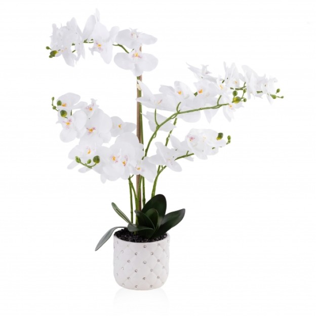 compozitie florala ORCHIPICK