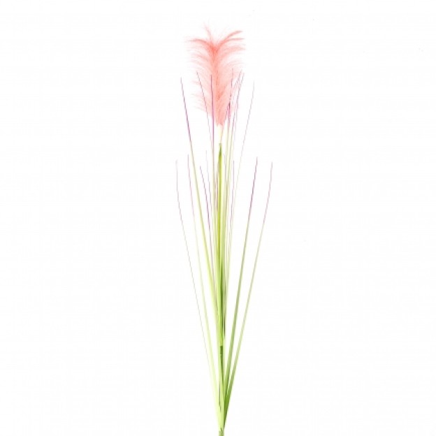 Crenguta decorativa MISCANT