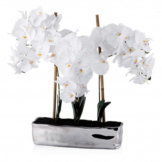 compozitie florala ORCHIANUM DIAM