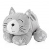 Jucarie PLAYCAT S