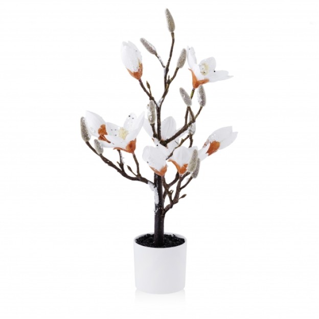 Compozitie flori MAGNOGLAM