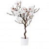 Compozitie flori MAGNOGLAM