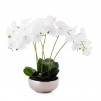 compozitie florala ORCHES