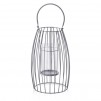 Felinar CAGE