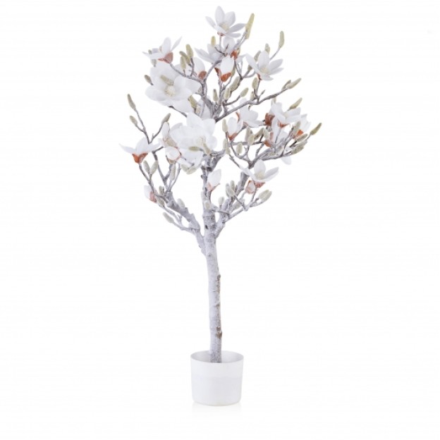 compozitie florala MAGNOLIA SNOW