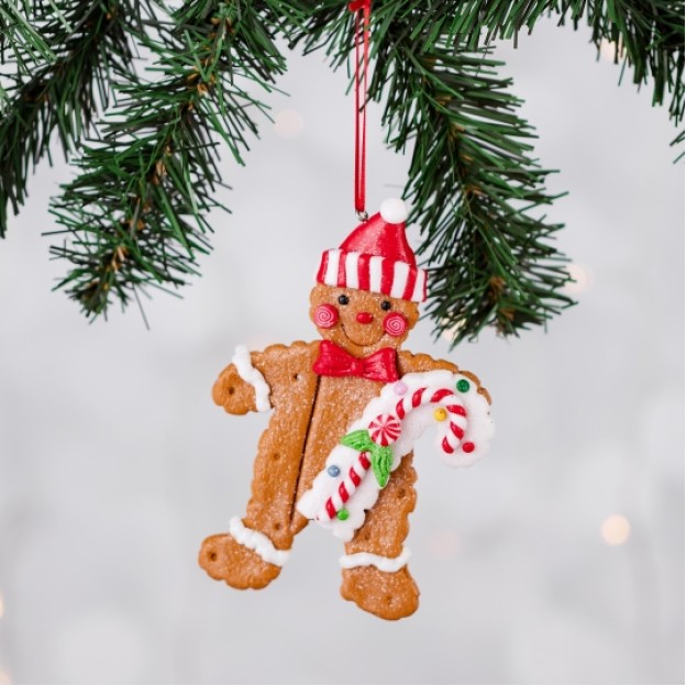 Jucarie brad GINGYBOY