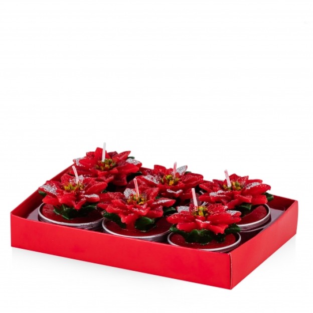 Set lumânari POINSETTINA