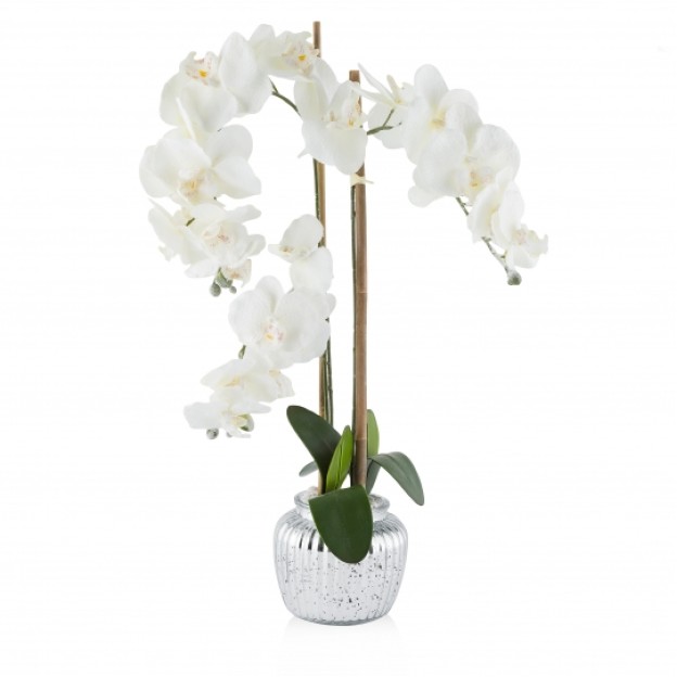 compozitie florala FROZEN ORCHID