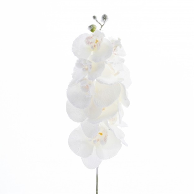 Crenguta decorativa FROZEN ORCHID