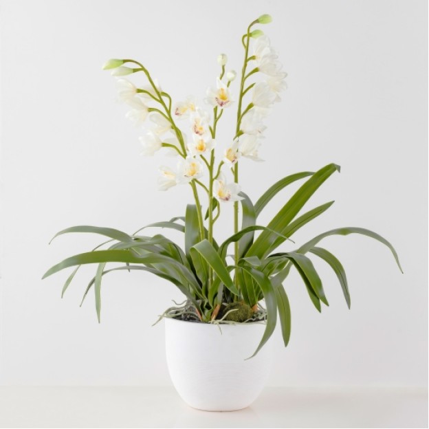 compozitie florala ORCHIDIUS
