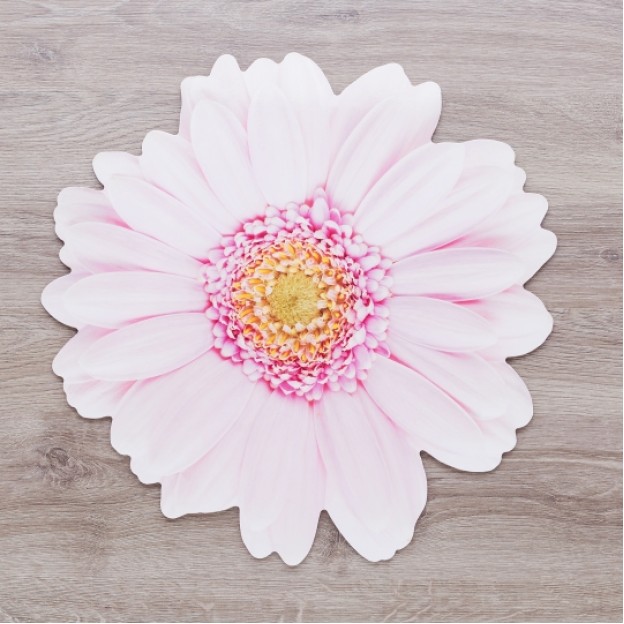 Napron GERBERA