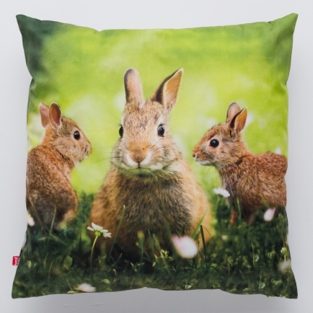 Fata de perna RABBITRIO
