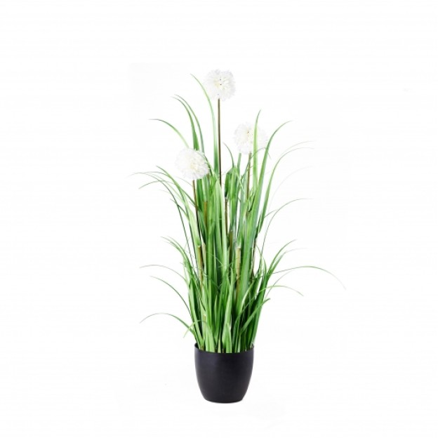 compozitie florala CHRISANTENUM