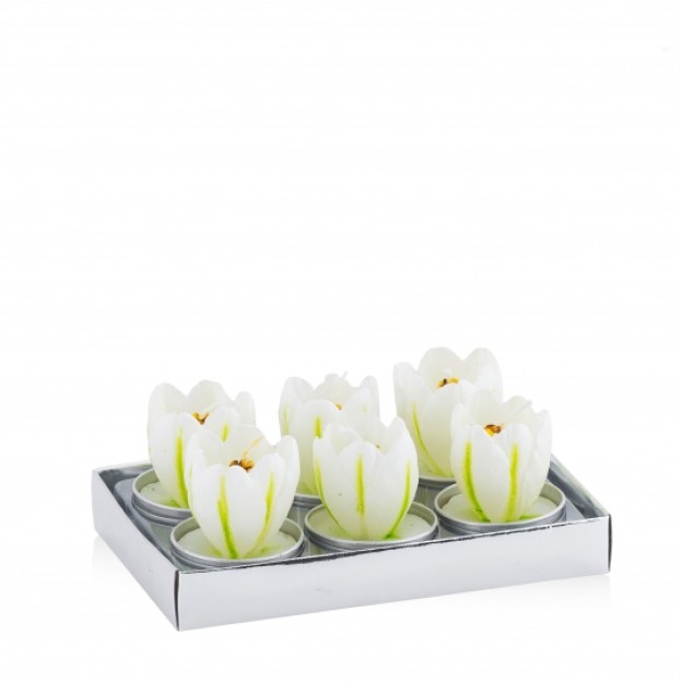 Luminare TULIP