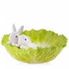 Bol CABBAGE RABIT