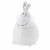 container  FURBUNNY NEW