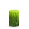 Lumanare GREENGRASS