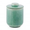 container  CACTIO