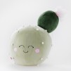 Perna	 		 	 CACTUS2