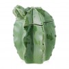 container  CACTO