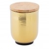 container  AURUMIS