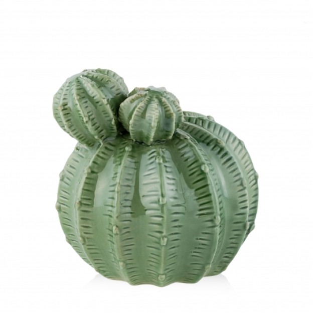 Pusculita CACTO