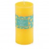 Luminare aroma PINELLI