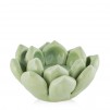 Suport luminare ECHEVERIA