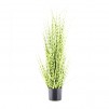 Floare decorativa ZEBRA