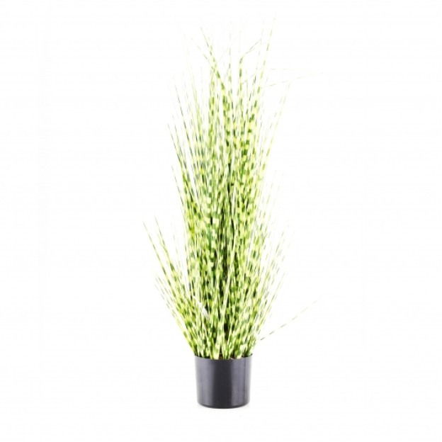 Floare decorativa ZEBRA