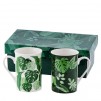 Set cani FLORA
