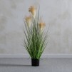 compozitie florala MISCANT
