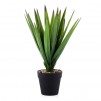 Floare decorativa AGAWA