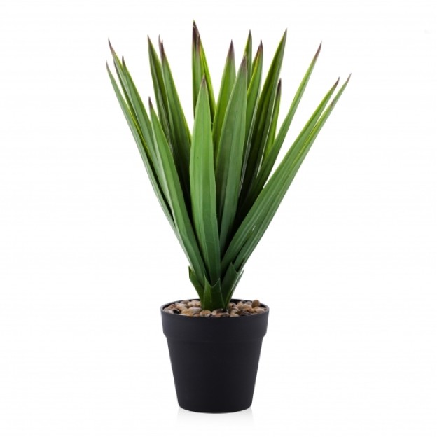 Floare decorativa AGAWA