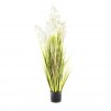 compozitie florala ORCHIOLA