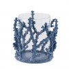 Felinar CORAL