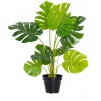 Floare decorativa MONSTERA