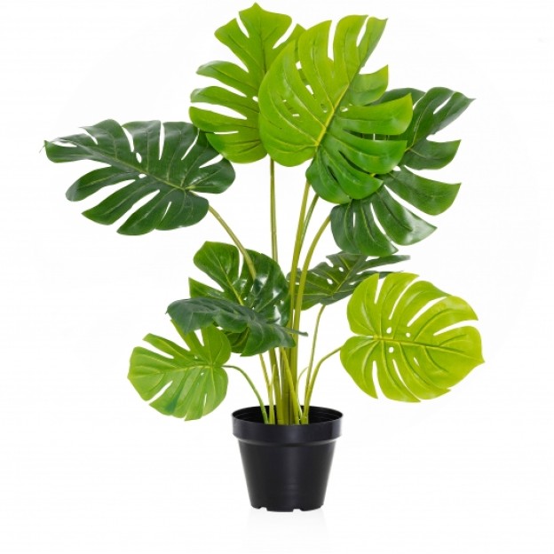 Floare decorativa MONSTERA