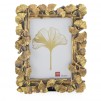 Rama foto GINKGO