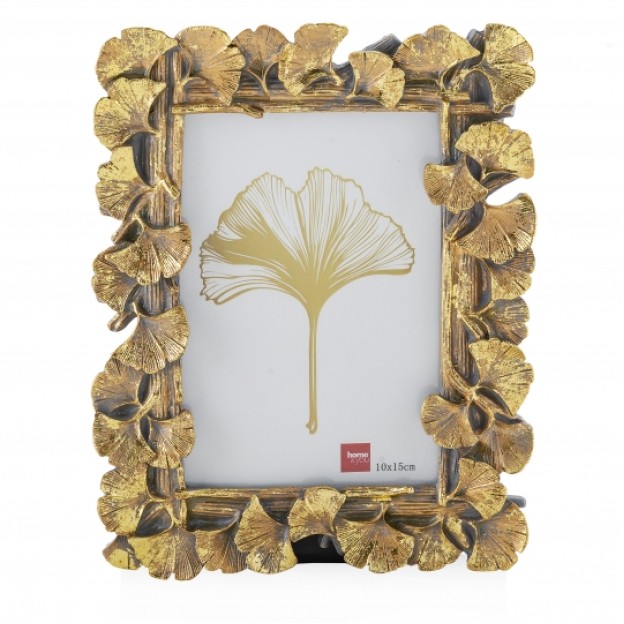 Rama foto GINKGO