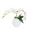 compozitie florala ORCHROUND