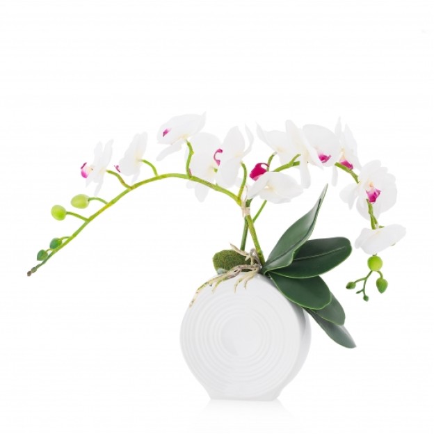 compozitie florala ORCHROUND