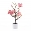 compozitie florala MAGNOTREE SMALL